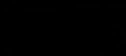 Partner 10
